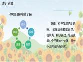 人音版小學(xué)四年級(jí)音樂下冊第二單元《我是少年阿凡提》課件