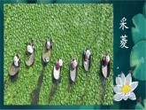 人音版小學(xué)四年級音樂下冊第三單元《采菱》課件