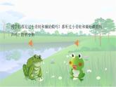 人音版小學(xué)四年級音樂下冊第三單元《癩蛤蟆和小青蛙》課件
