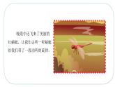 人音版小學(xué)四年級音樂下冊第四單元《紅蜻蜓》課件