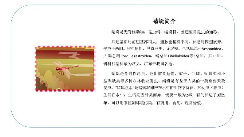 人音版小学四年级音乐下册第四单元《红蜻蜓》课件第6页