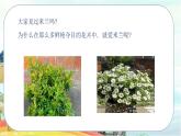 人音版小學(xué)三年級下冊第七單元《我愛米蘭》課件pptx