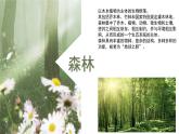 人教版小學(xué)音樂(lè)3下《森林與小鳥》課件