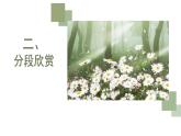 人教版小學(xué)音樂(lè)3下《森林與小鳥》課件