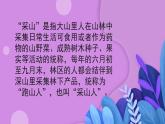 人教版小學(xué)音樂3下《采山》課件