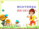 人音版小學(xué)音樂(lè)二年級(jí)下冊(cè) 第3課《小蜜蜂》課件