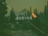 人音版小學(xué)音樂(lè)三年級(jí)下冊(cè) 第3課《頑皮的杜鵑》課件