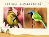 人音版小學音樂三年級下冊 第3課(簡)《頑皮的杜鵑》課件