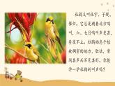 人音版小學音樂三年級下冊 第3課(線)《頑皮的杜鵑》課件