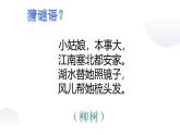 人音版小學(xué)音樂三年級下冊 第3課《柳樹姑娘》課件
