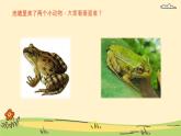 人音版小學音樂四年級下冊 第3課《癩蛤蟆和小青蛙1》課件