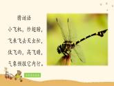 人音版小學(xué)音樂四年級下冊 第4課(線)《紅蜻蜓》課件