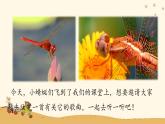 人音版小學(xué)音樂四年級下冊 第4課(線)《紅蜻蜓》課件