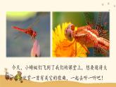 人音版小學(xué)音樂四年級下冊 第4課(簡)《紅蜻蜓》課件