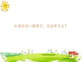 人音版小學(xué)音樂四年級(jí)下冊(cè) 第8課《種太陽(yáng)1》課件