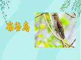 人音版小學(xué)音樂一年級下冊 第1課《布谷》課件