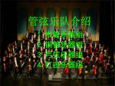 人音版小学音乐一年级下册 欢乐谷 管弦乐器简介  课件