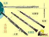 人音版小学音乐一年级下册 欢乐谷 管弦乐器简介  课件