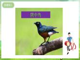 沪教版音乐一年级下册2. 听一听《向日葵》课件