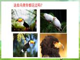 沪教版音乐一年级下册2. 听一听《向日葵》课件