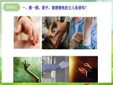 沪教版音乐一年级下册4. 唱一唱《一双小手》课件