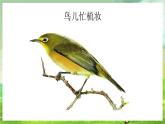 沪教版音乐一年级下册4.听一听《劳动最光荣》课件