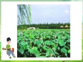 沪教版音乐一年级下册6. 唱一唱 《水乡歌》课件