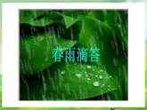 西师大版音乐一下 1《春天举行音乐会》1课件