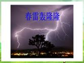西师大版音乐一下 1《春天举行音乐会》1课件