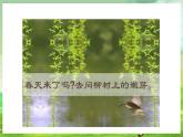 西师大版音乐一下 1《春天到》课件