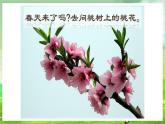 西师大版音乐一下 1《春天到》课件