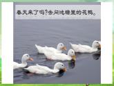 西师大版音乐一下 1《春天到》课件