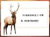 【新教材核心素养】人音版音乐一下第3单元《大鹿》课件+同步教案+素材