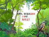 【新教材核心素養(yǎng)】人教版音樂一年級下冊第3單元《森林與小鳥》-課件+同步教案+素材