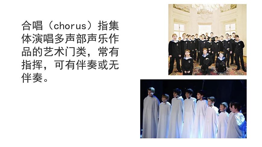 花城版音乐6下第五课《八只小鹅》课件第5页