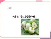 【核心素養(yǎng)優(yōu)質(zhì)課】花城版音樂(lè)五年級(jí)上冊(cè)第2課《采蓮謠》-課堂教學(xué)設(shè)計(jì)+課件+素材