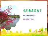 【新教材核心素養(yǎng)】花城版音樂(lè)一年級(jí)下冊(cè)第7單元《春天來(lái)了+兩個(gè)猶太人》課件+同步教案+素材