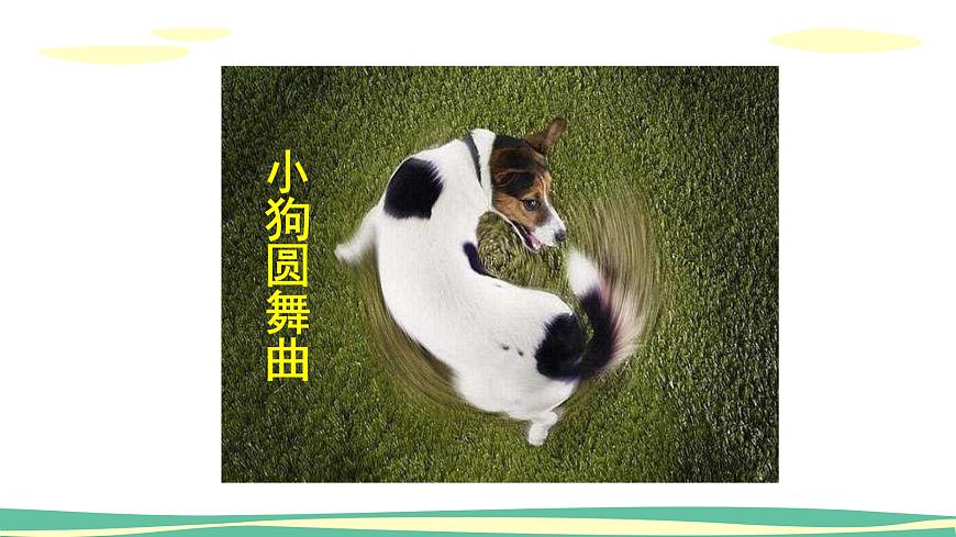 人音版（2024）小学音乐 二上第5课《小狗圆舞曲》课件第6页