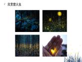 人音版（2024）小學(xué)音樂 六上第7課《螢火蟲》課件