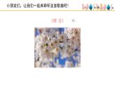 人音版小學音樂 三上第6課《櫻花》課件