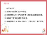 人音版小學音樂 三上第6課《櫻花2》課件