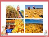 人音版小學(xué)音樂(lè) 三上第8課《如今家鄉(xiāng)山連山1》課件