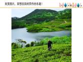 人音版小學(xué)音樂 四上第2課《楊柳青》課件