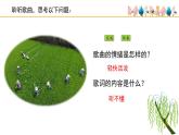 人音版小學(xué)音樂 四上第2課《楊柳青》課件