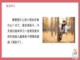 人音版小學(xué)音樂 四上第5課《蕩秋千》課件