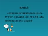 人音版小學(xué)音樂 五上第2課《雨花石》課件