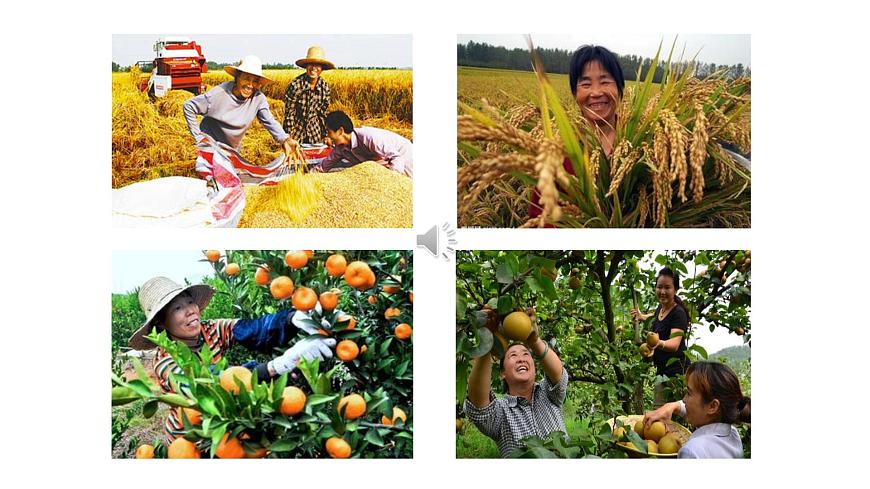 人音版小学音乐 五上第3课《丰收锣鼓》课件第2页