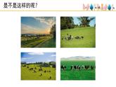 人音版小學(xué)音樂 五上第4課《牧場(chǎng)上的家》課件