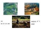 人音版小學(xué)音樂 五上第6課《叮鈴鈴2》課件