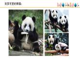 人音版小學(xué)音樂 一上第3課《快樂的小熊貓》課件